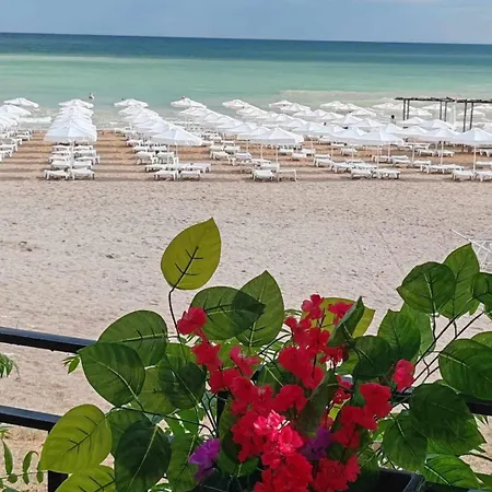 Maria Tereza Baltjik