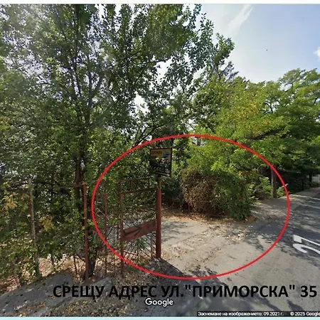 Maria Tereza Villa
